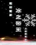 冰之帝王网王