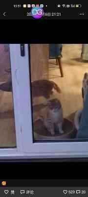 好友的近义词