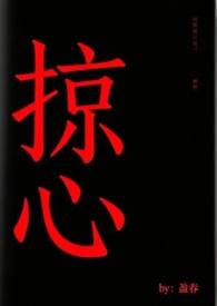 掠心者男团