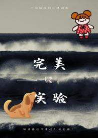 完美实现