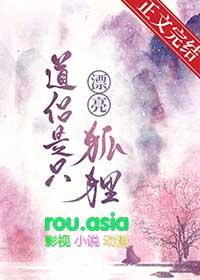 道士与狐狸的