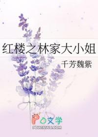 红楼之林家姐弟