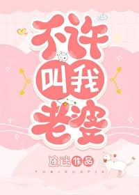 不许叫我老婆晋江
