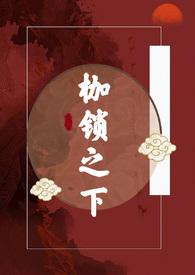 枷锁吧
