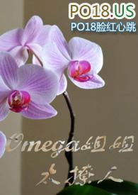 omega姐姐太撩人gl百度