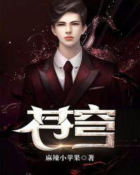 苍穹(深圳)电气有限公司成立