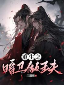 重生之暗卫做王夫免费阅读