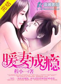 暖妻成瘾的都市版
