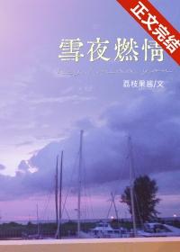 雪夜燃情类别言情作者 荔枝果酱