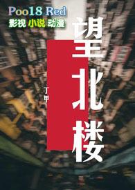 望北楼无删减