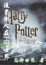 流星街穿越其他世界