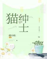 猫绅官网