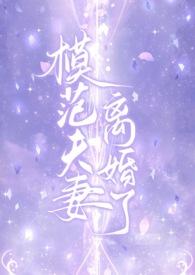 模范夫妻离婚了(高干)讲的什么