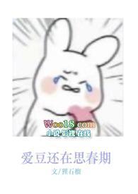 爱豆还在思春期(娱乐圈nph)