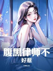 腹黑律师太危险免费阅读