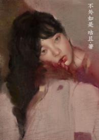 不外如是形容人