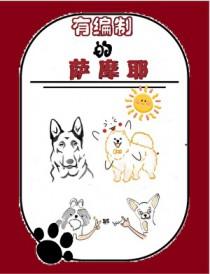 萨摩耶犬纯种