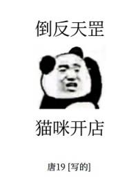宠物店开毛结