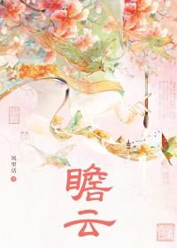 瞻云望日