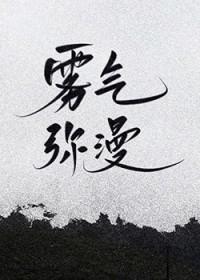 雾气弥漫山路行