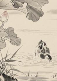 全京城都在等我出嫁