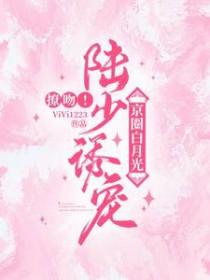 免费阅读陆少宠妻太甜蜜