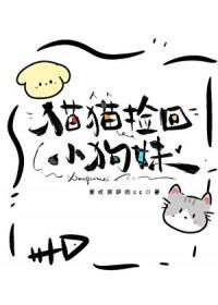 捡猫咪回家好不好