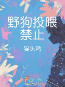 野狗可以吃什么东西