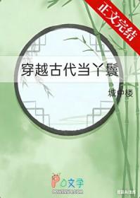穿越古代当丫鬟 城中楼 笔趣阁