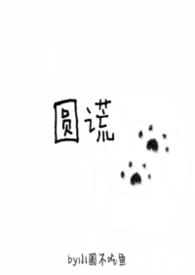圆谎 歌词