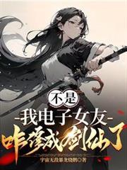 我的电子女友攻略