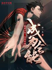 排球少年去年冠军