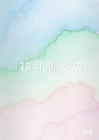非计划日程表什么意思