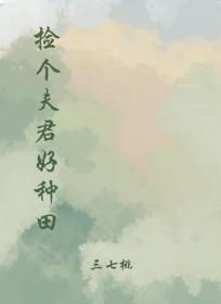 捡个夫君过日子by