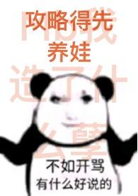 攻略v4