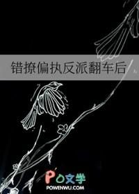 错撩偏执反派翻车后